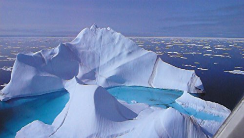 Wonders of the Arctic – 4k Ultra HD Blu-ray - 2