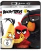 Angry Birds: Der Film – 4K Blu-ray (UHD + Blu-ray Disc)