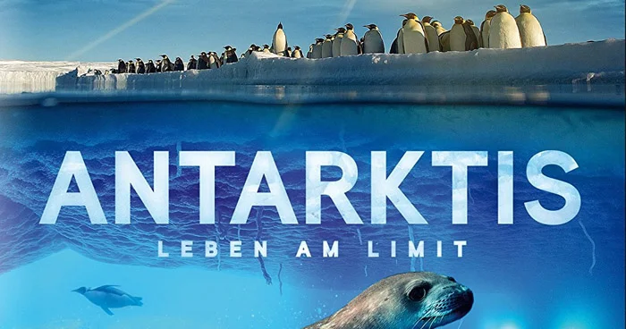 Antarktis Leben am Limit - 4k-Ultra-HD