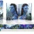 Avatar 4K Collectors Edition mit Extended Cut