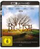 Big Fish – 4K Blu-ray (UHD Blu-ray Disc)