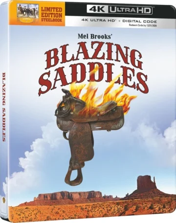 Blazing Saddles US Cover