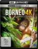 Borneo – Faszination Asien – 4K Blu-ray (UHD + Blu-ray Disc)