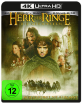 Der Herr der Ringe - Die Gefährten Fanmade Cover