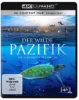 Der wilde Pazifik 4K: Die Schönheit des Lebens – 4K Blu-ray (UHD Blu-ray Disc)