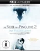 Die Reise der Pinguine 2: Der Weg des Lebens – 4K Blu-ray (UHD + Blu-ray Disc)