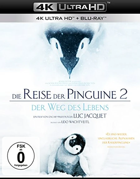 Die Reise der Pinguine 2 Der Weg des Lebens 4K Blu-ray UHD Blu-ray Disc
