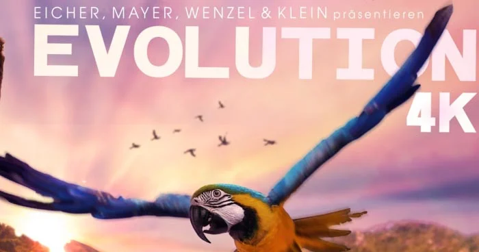 Evolution 4K von Studio Hamburg