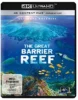 Great Barrier Reef 4K: Ultimate Freedive – 4K Blu-ray (UHD Blu-ray Disc)