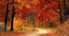 Herbst und Winter Highlights auf 4K Blu-ray