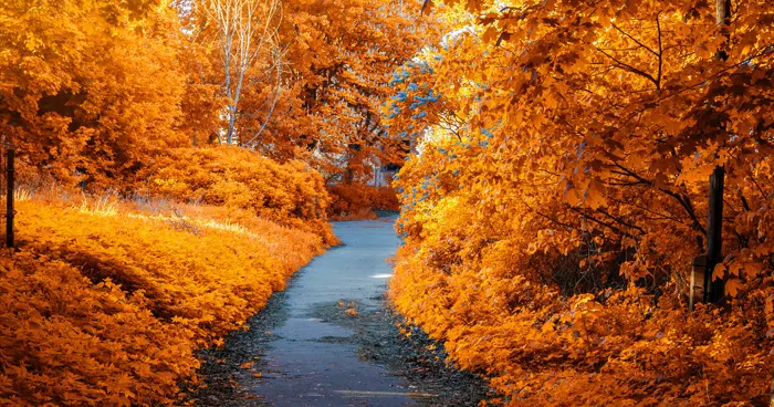 Prime Exklusiv Angebote im Oktober