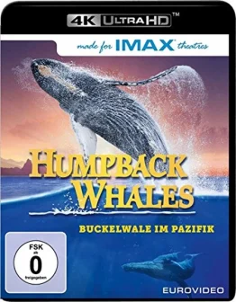 Humpback Whales 4K Blu-ray UHD Blu-ray Disc