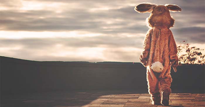 Pre-Oster Angebote-Woche bei Amazon