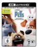 Pets – 4K Blu-ray (UHD + Blu-ray Disc)