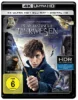 Phantastische Tierwesen und wo sie zu finden sind – 4K Blu-ray (UHD + Blu-ray Disc)