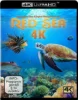 Red Sea – 4K Blu-ray (UHD Blu-ray Disc)