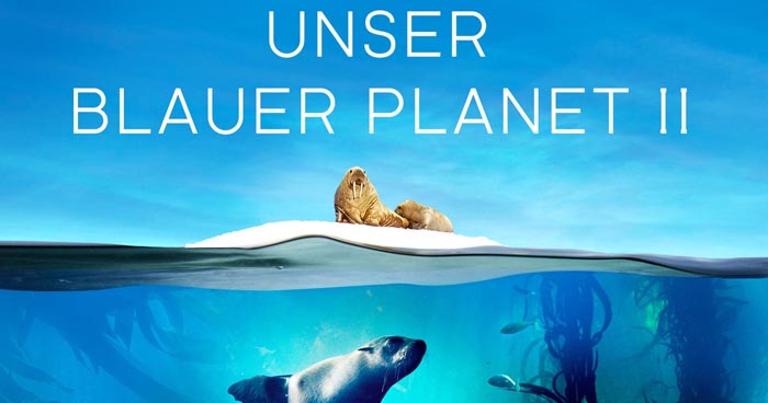 TV-Doku „Unser blauer Planet II“ auf 4K Ultra HD-Blu-ray