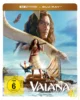 Vaiana (2026) – 4K Steelbook (UHD + Blu-ray Disc)