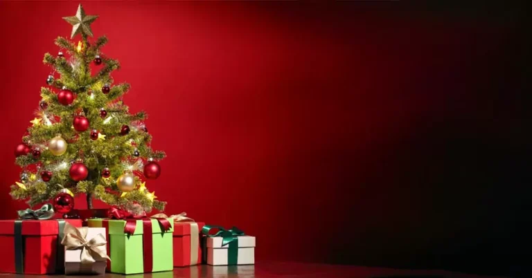 Frohe Weihnachten und ein glückliches neues Jahr!