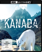 Wildes Kanada 4K Blu-ray mit einem Eisbär
