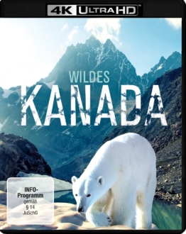 Wildes Kanada 4K Blu-ray mit einem Eisbär