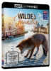 Wildes Venedig – 4K Blu-ray (UHD Blu-ray Disc)